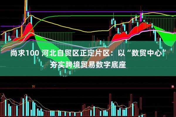尚求100 河北自贸区正定片区：以“数贸中心”夯实跨境贸易数字底座