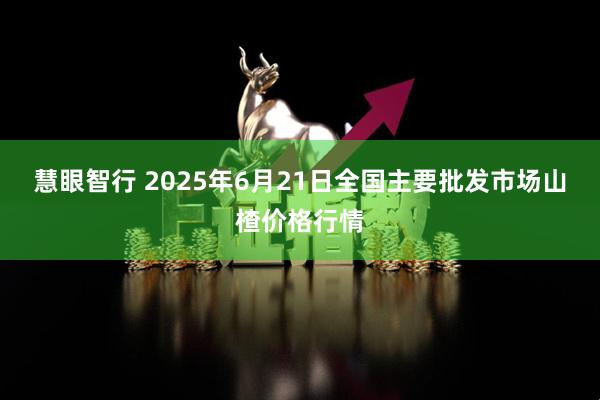慧眼智行 2025年6月21日全国主要批发市场山楂价格行情