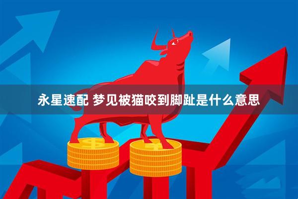 永星速配 梦见被猫咬到脚趾是什么意思