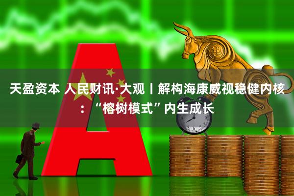 天盈资本 人民财讯·大观丨解构海康威视稳健内核：“榕树模式”内生成长